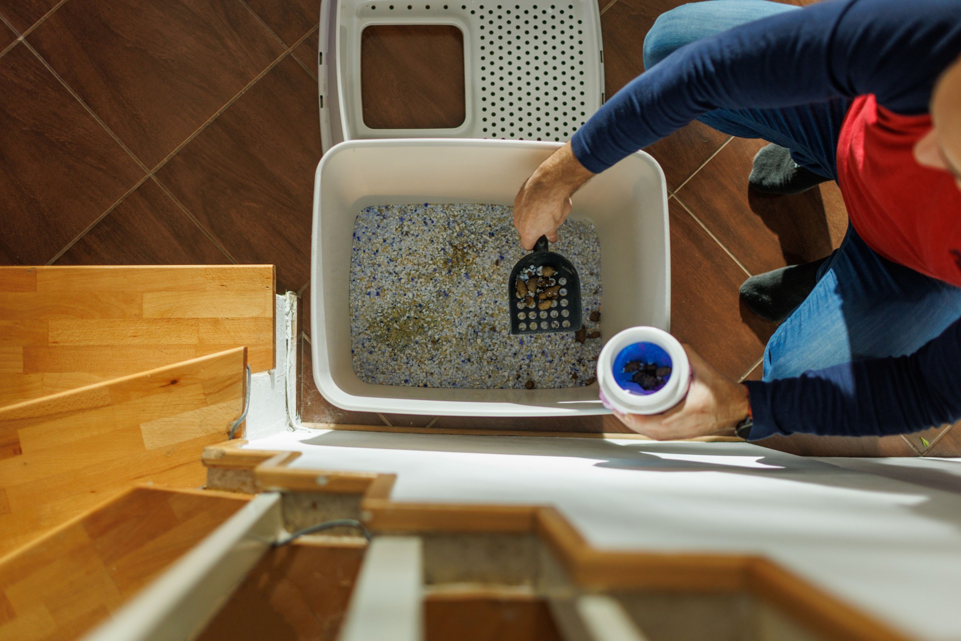 Cleaning Cat Litter Box at Home